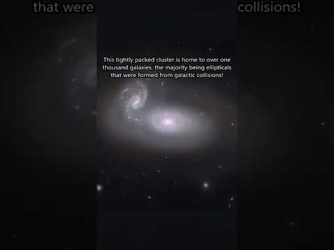 Interacting Galaxy Pair in the Coma Cluster 🌌👀 #astronomy