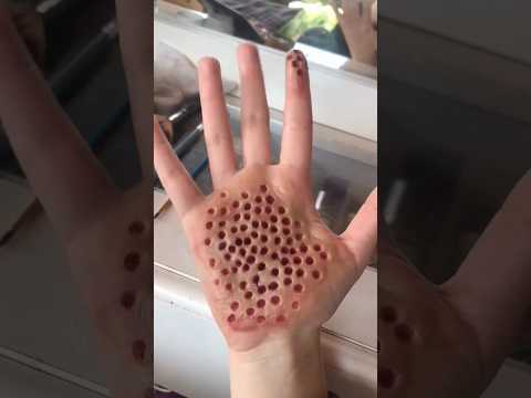 The most dangerous cut trick on the hand trypophobia 😍 #sfx #sfx_makeup #youtubeshorts #shorts